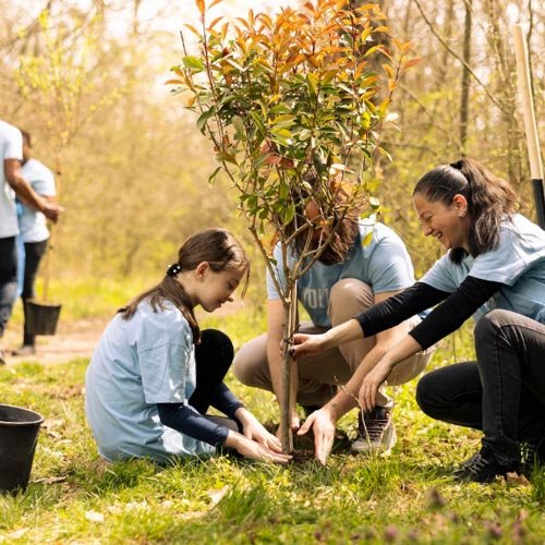 Abogado para protección de áreas verdes en Punta Arenas Sanciones por daño a espacios públicos y áreas verdes